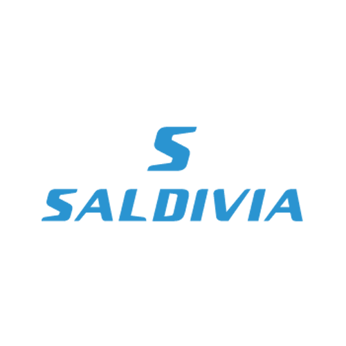 saldivia_s
