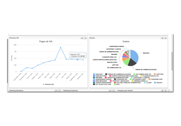 screen_gastos PYMES grafico